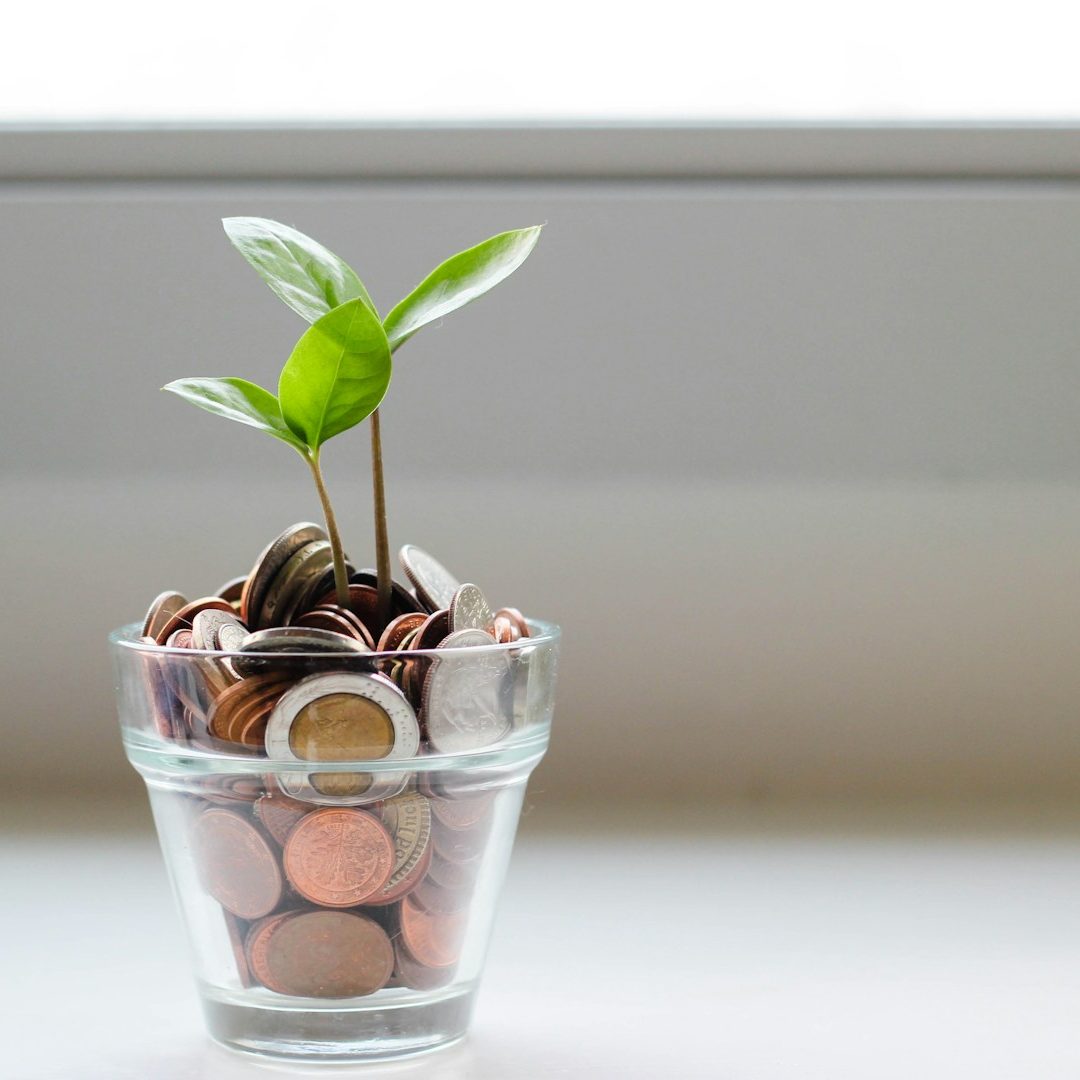 Eine kleine Pflanze wächst aus einem Glas mit Münzen.
